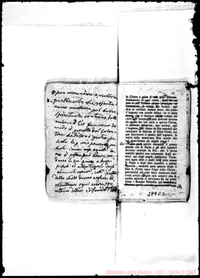 Fotogramma D 3