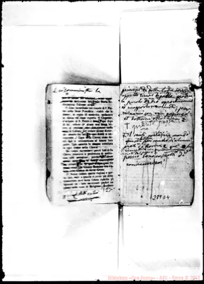 Fotogramma D 4