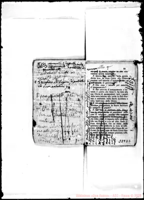 Fotogramma D 5