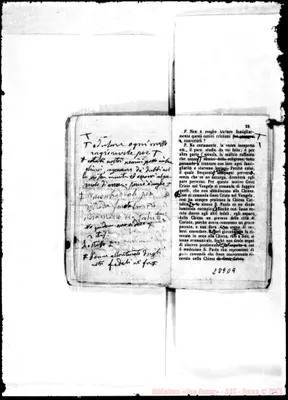 Fotogramma D 9