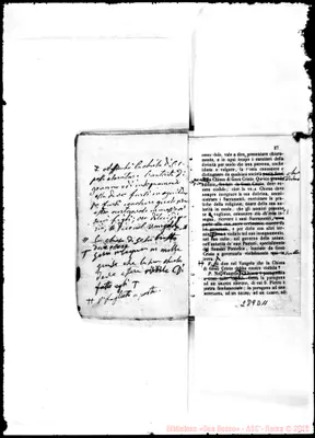 Fotogramma D 11