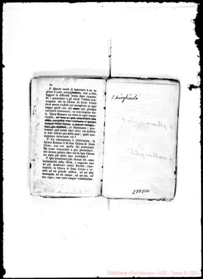 Fotogramma E 10