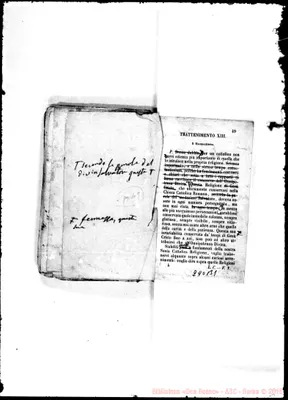Fotogramma B 1
