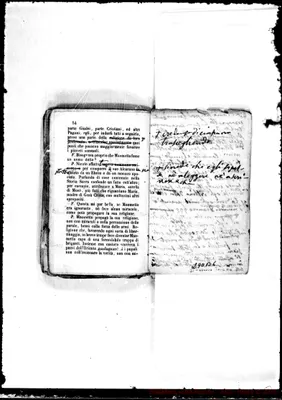 Fotogramma B 6