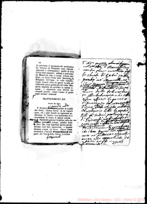 Fotogramma B 8