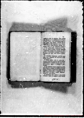 Fotogramma C 1