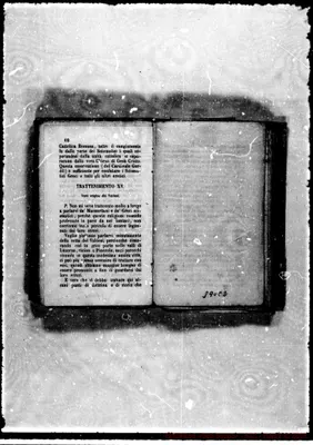 Fotogramma C 2