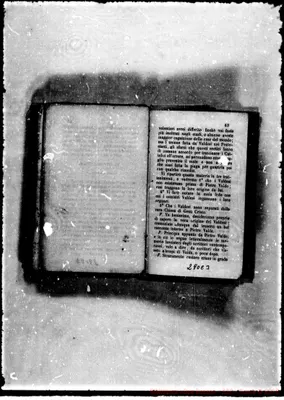 Fotogramma C 3