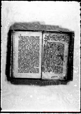 Fotogramma C 4