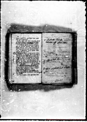 Fotogramma C 5