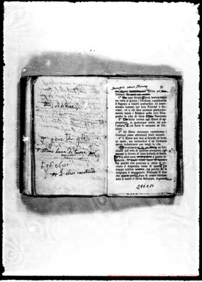 Fotogramma C 10