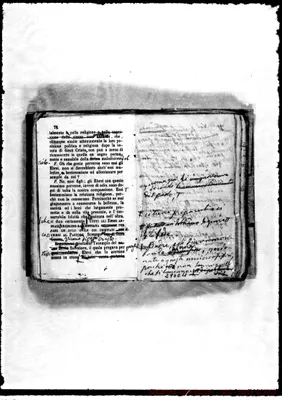 Fotogramma C 11