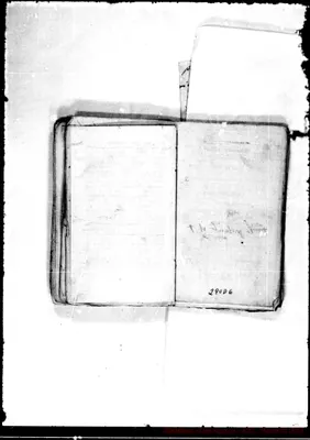 Fotogramma D 6