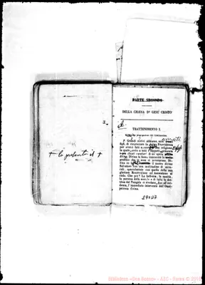 Fotogramma D 7
