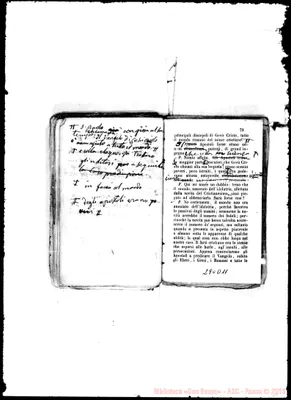 Fotogramma D 11