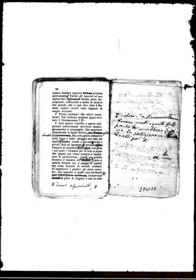 Fotogramma D 12