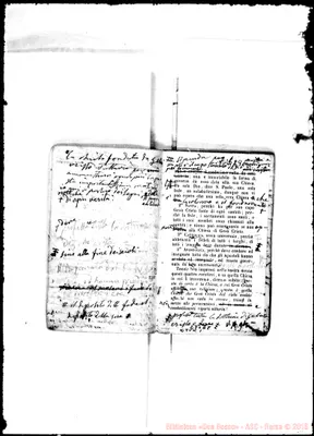 Fotogramma E 8