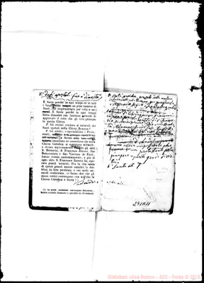 Fotogramma A 11