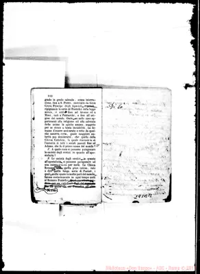 Fotogramma B 12