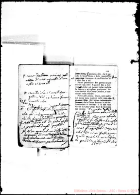Fotogramma C 1