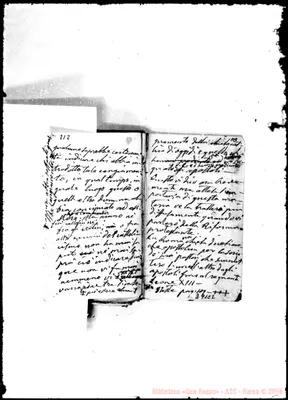 Fotogramma C 2