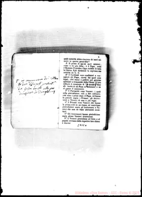 Fotogramma C 6