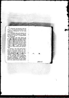 Fotogramma C 7