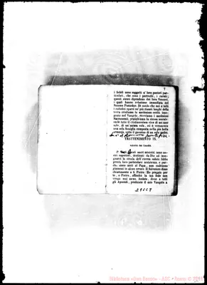 Fotogramma C 8