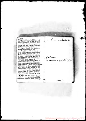 Fotogramma C 11