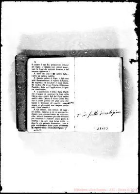 Fotogramma D 3