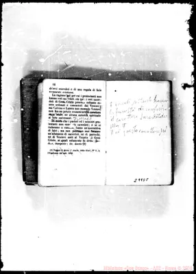 Fotogramma D 5