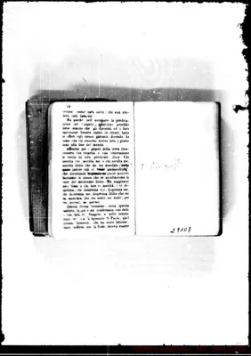 Fotogramma D 7