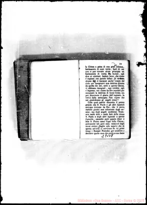Fotogramma D 8