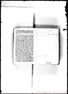 Fotogramma D 11