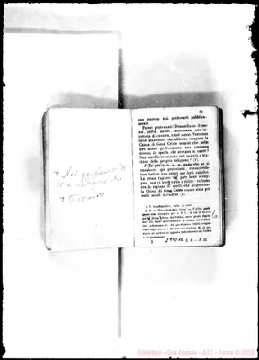 Fotogramma E 10
