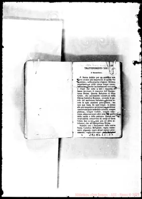 Fotogramma B 2