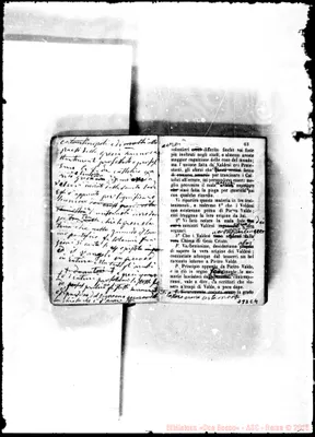 Fotogramma C 4