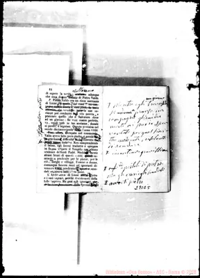 Fotogramma C 5