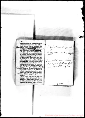 Fotogramma C 7