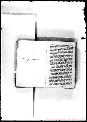 Fotogramma C 10