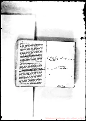 Fotogramma C 11