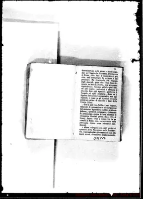 Fotogramma C 12