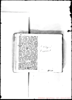 Fotogramma D 1