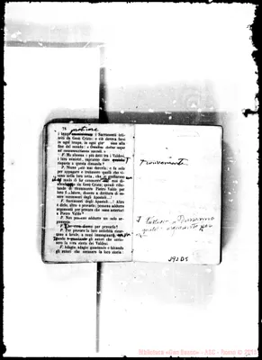 Fotogramma D 5