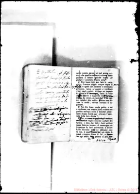 Fotogramma D 6