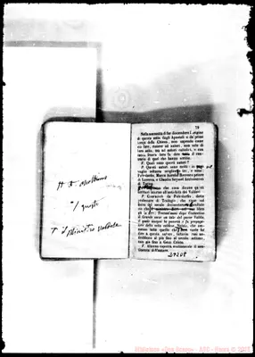 Fotogramma D 8
