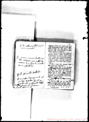 Fotogramma D 10