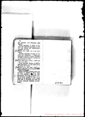 Fotogramma D 11