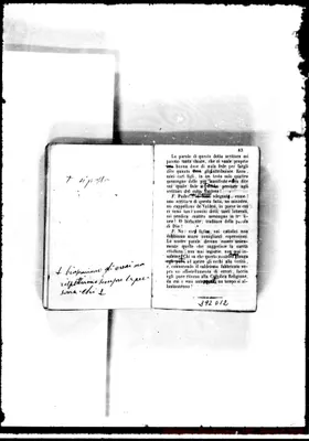 Fotogramma D 12