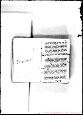 Fotogramma E 2